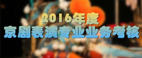 插黑逼影院国家京剧院2016年度京剧表演专业业务考...